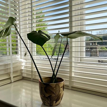 Top Floor Double En-Suite Br Apartment Central Matlock Matlock  Esterno foto